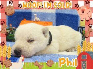 Phil 2wk ft 3