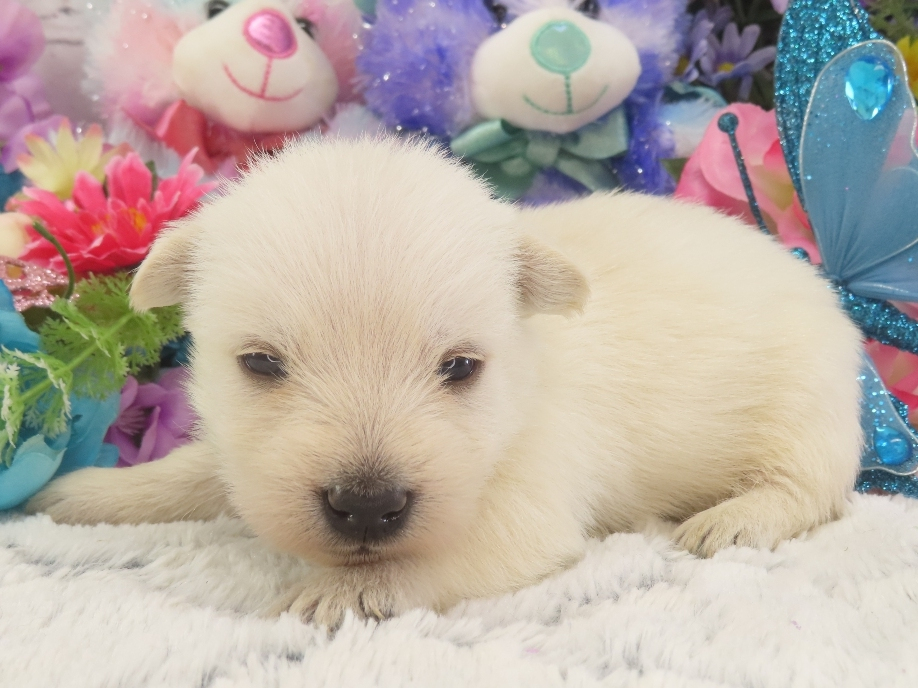 Phil 3wk 2