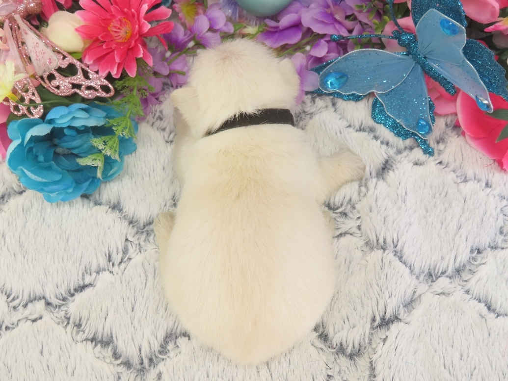 Phil 3wk 5