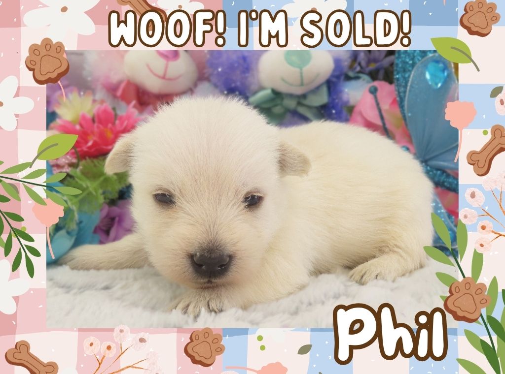 Phil 3wk FT 3