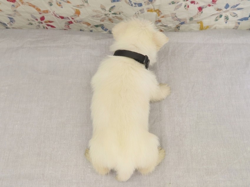 Phil 4wk 3