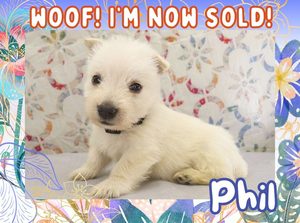 Home 2 Phil 4wk FT 3