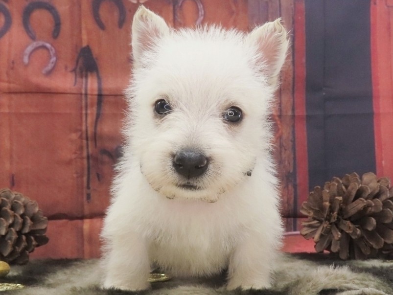 Phil 5wk 1