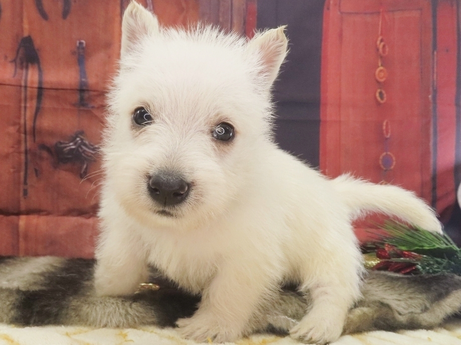 Phil 5wk 2