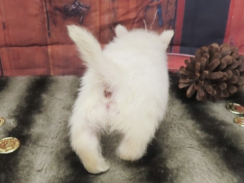 Phil 5wk 4