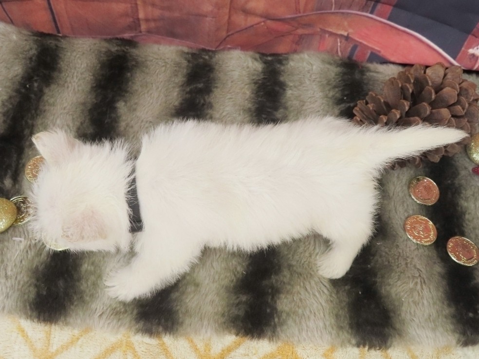 Phil 5wk 5