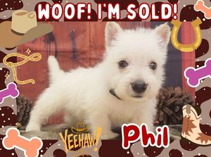 Home 2 Phil 5wk FT 3
