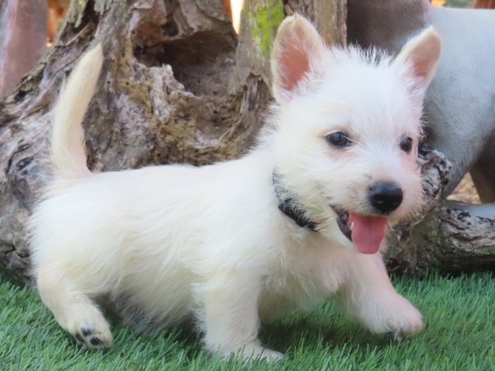 Phil 6wk 3
