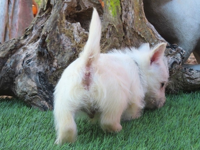Phil 6wk 4