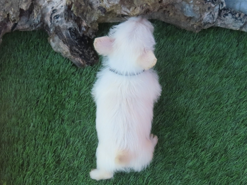 Phil 6wk 5