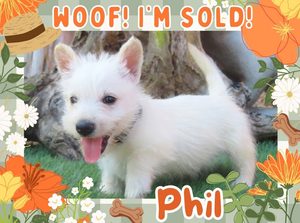 Home 2 Phil 6wk FT 3