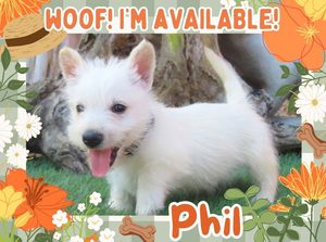 Home 2 Phil 6wk FT