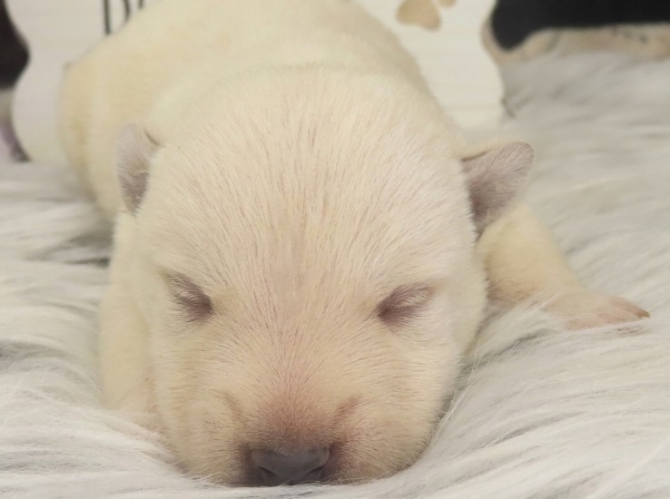 Phineas 1wk 1