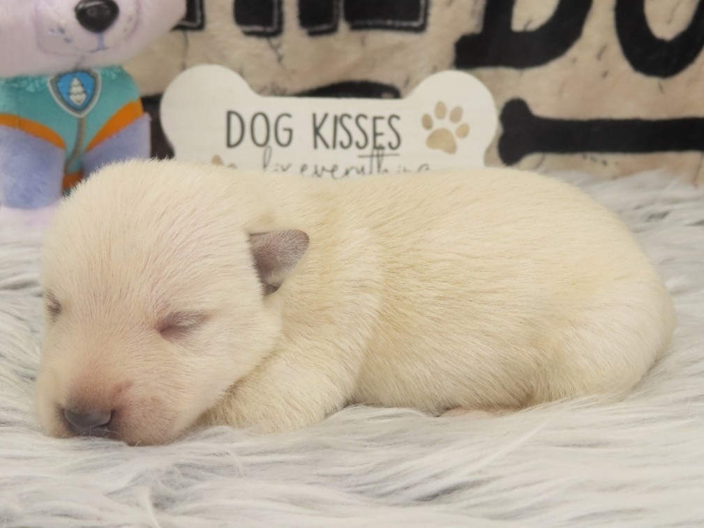Phineas 1wk 2