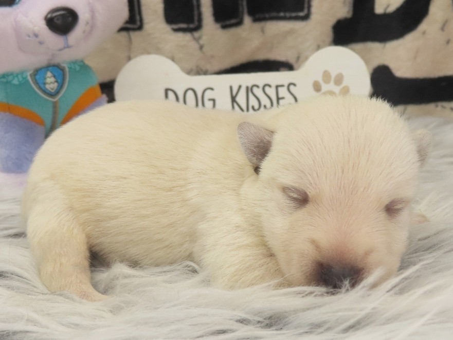 Phineas 1wk 3
