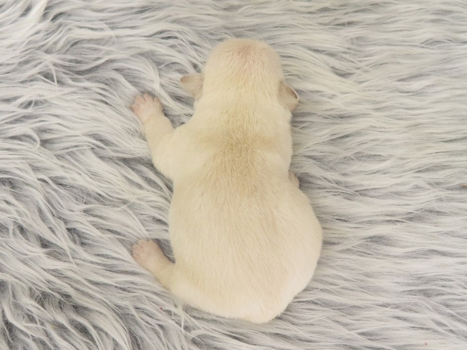 Phineas 1wk 5