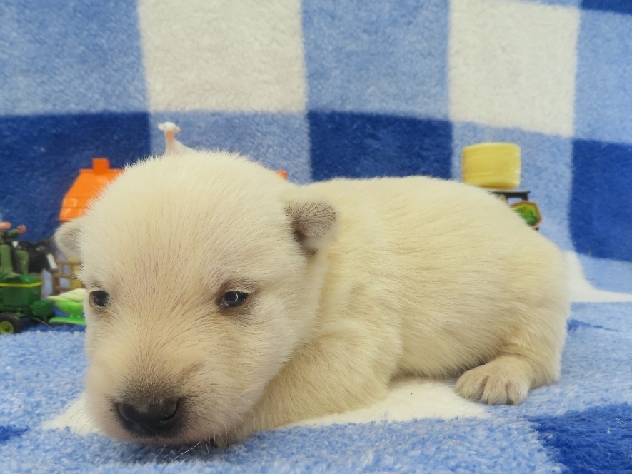 Phineas 2wk 2