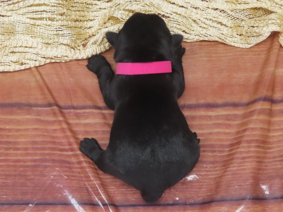 Gigi 1wk 5