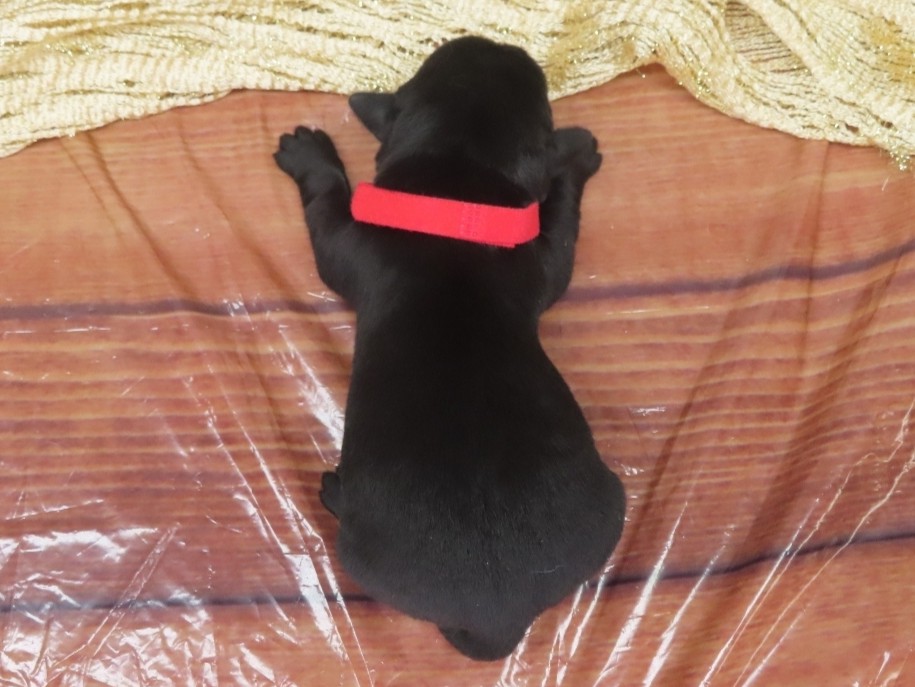 Griffin 1wk 5