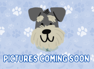 Home 1 ss pictures coming soon